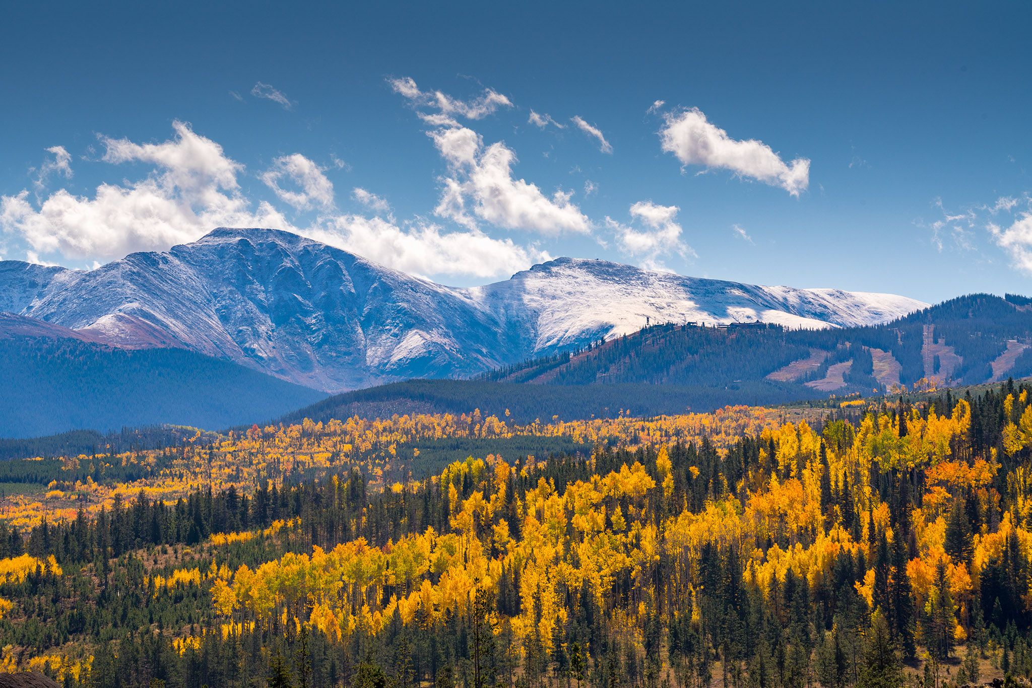 Viewing the Aspen Colors in Winter Park, CO