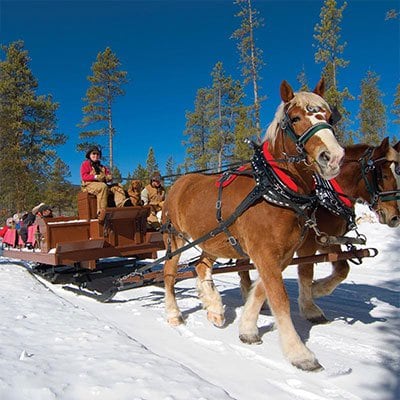 Things To Do Sleigh Rides