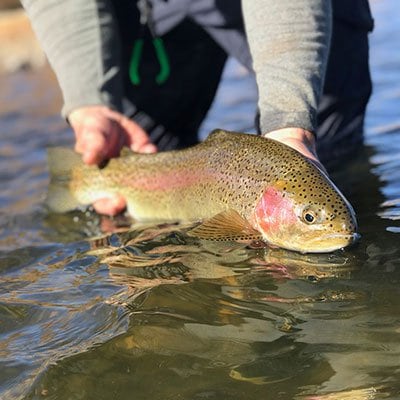 Things To Do Fishing
